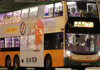Media Image