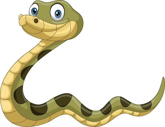 Media Image