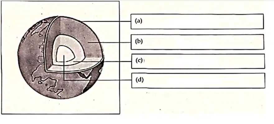 Question Image