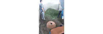 media