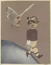 Media Image
