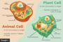 Unit 3 - Cell Biology Review