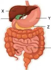 Media Image