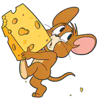 Media Image