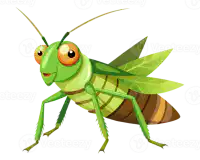 Media Image