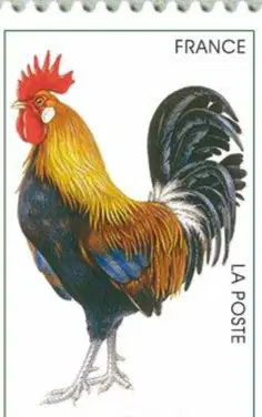 Media Image