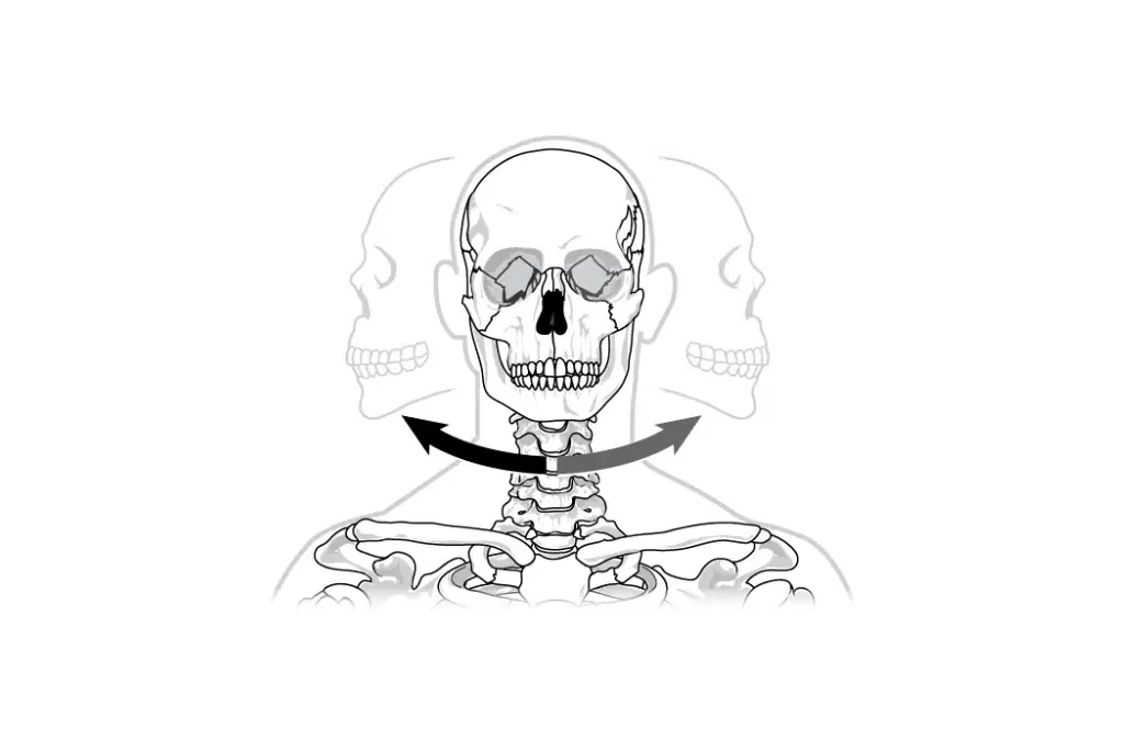 Media Image
