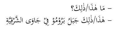 media