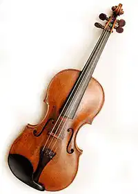 Media Image