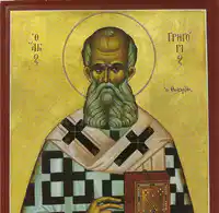 Media Image