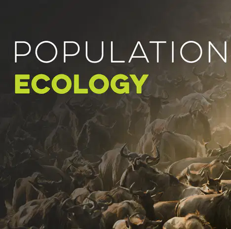 Honors Population Ecology Flashcard