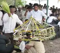 Media Image