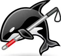 Media Image