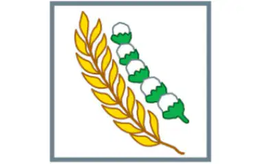 Media Image