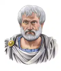 Media Image