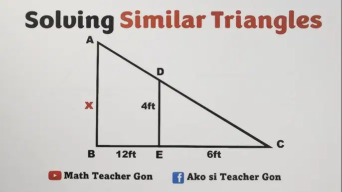 proportionality