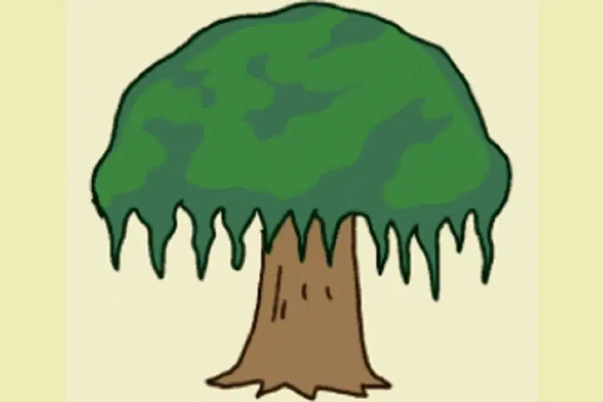 Media Image