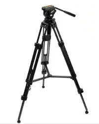 media