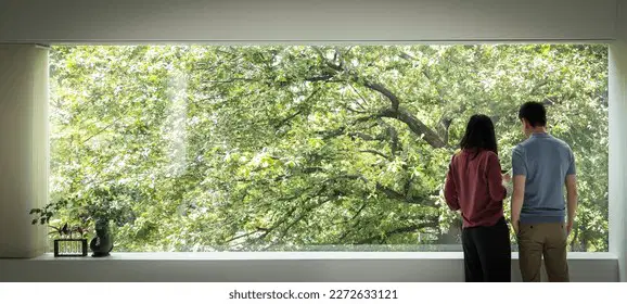 media image