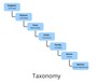 Taxonomy Practice Questions