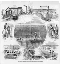 Media Image