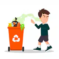 Media Image
