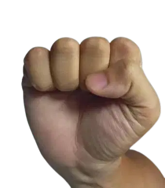 Media Image