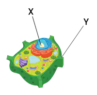 Media Image