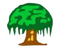 Media Image