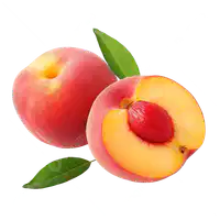 Media Image