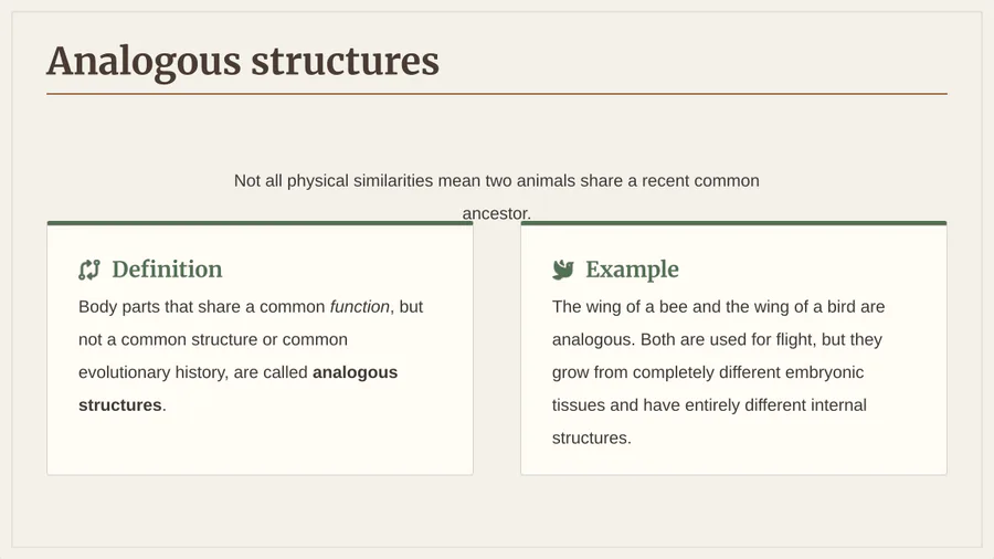 media