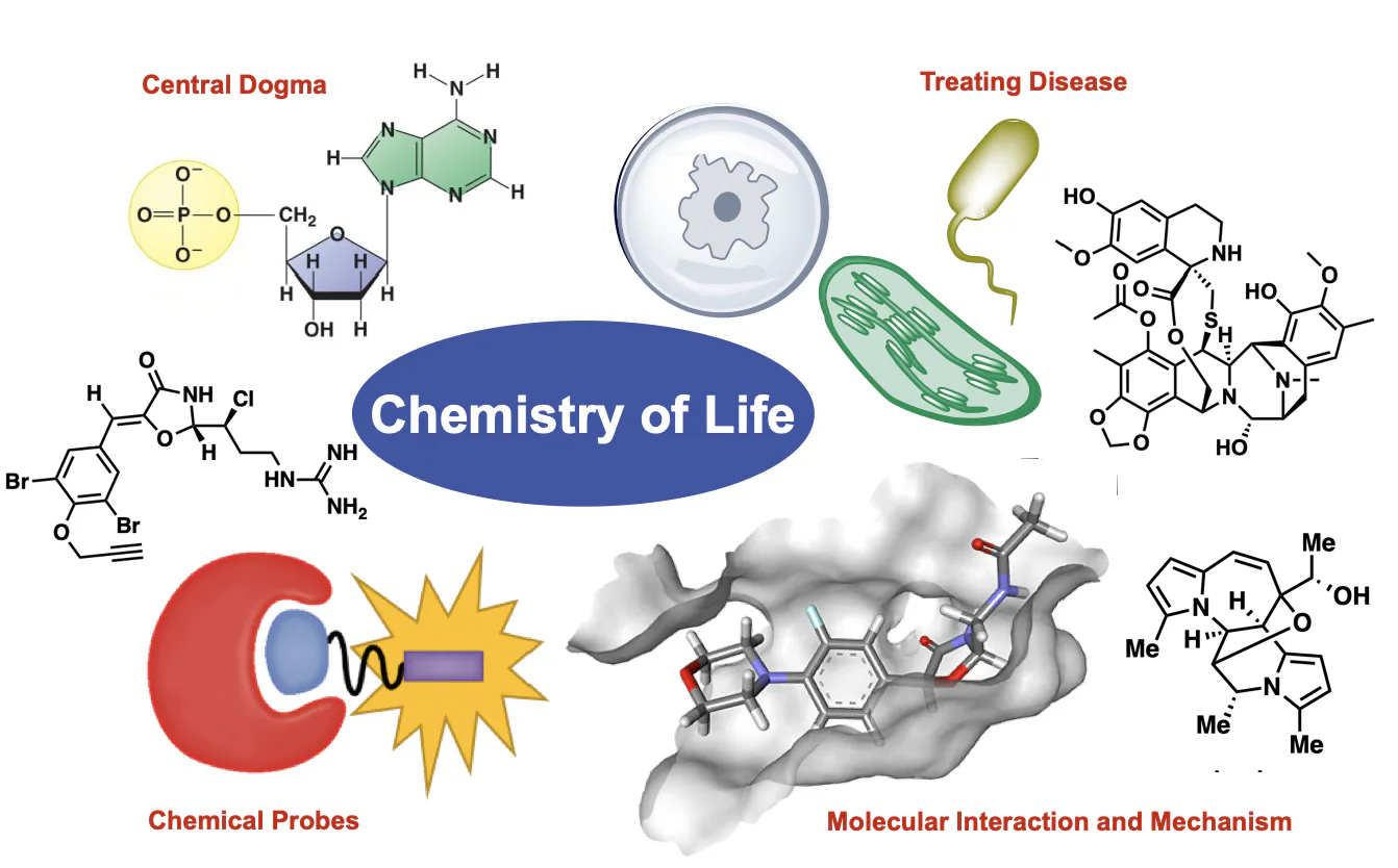 Chemistry of Life
