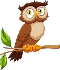 Media Image