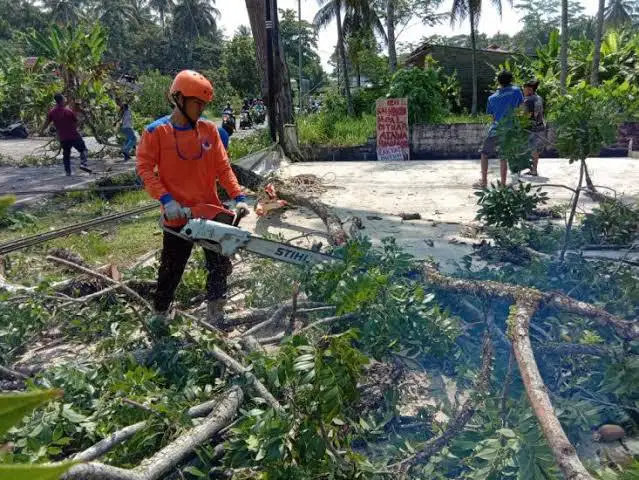 Media Image