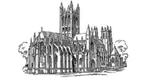 Media Image