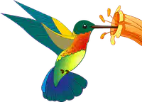 Media Image