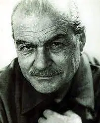 Media Image