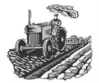 Media Image