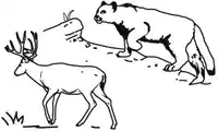 Media Image