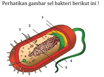 Question image