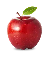 Media Image