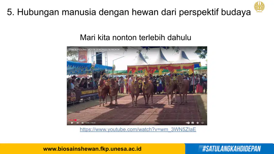 media
