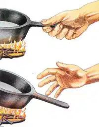 Media Image