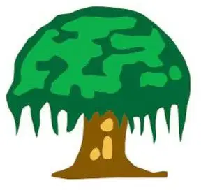 Media Image