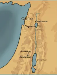 Media Image