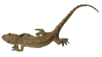 Media Image