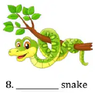 Media Image