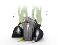 Media Image