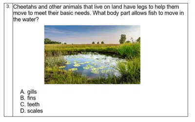 media