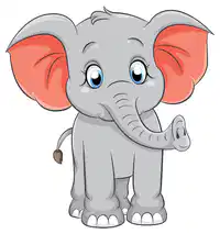 Media Image